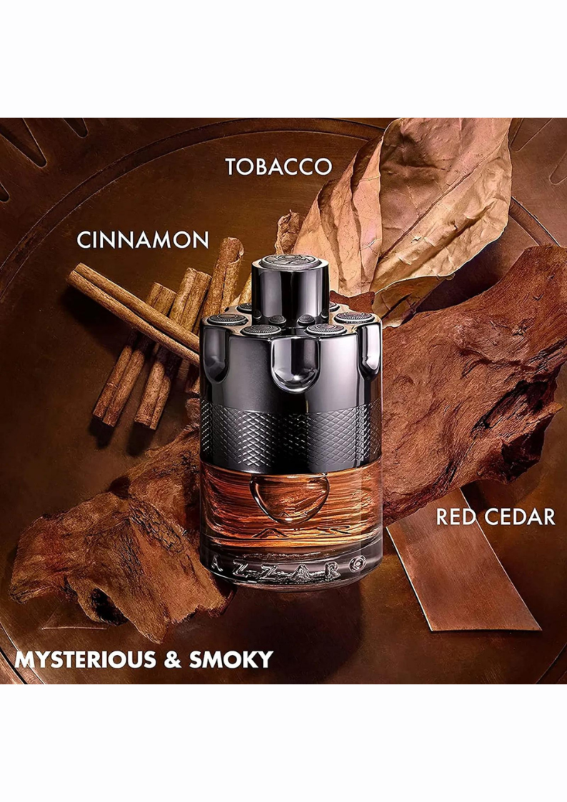 Azzaro marron hotsell